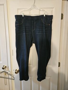 Liverpool Jeans Company Indigo Dark Wash Jeggings